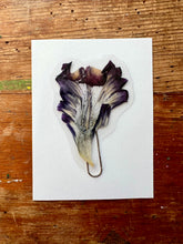 Load image into Gallery viewer, Laminated Pressed Flowers and Leaf Bookmarks set of four (4).