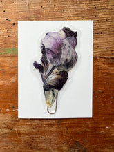 Load image into Gallery viewer, Laminated Pressed Flowers and Leaf Bookmarks set of four (4).